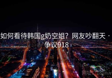 如何看待韩国g奶空姐？网友吵翻天 · 争议918