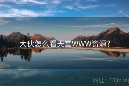 大伙怎么看天堂WWW资源？