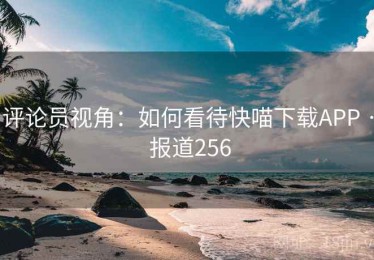 评论员视角：如何看待快喵下载APP · 报道256
