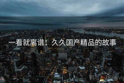 一看就离谱：久久国产精品的故事