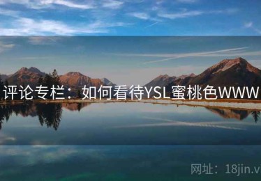 评论专栏：如何看待YSL蜜桃色WWW