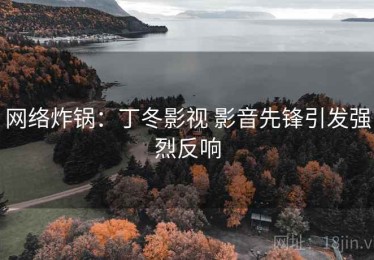 网络炸锅：丁冬影视 影音先锋引发强烈反响