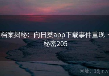 档案揭秘：向日葵app下载事件重现 · 秘密205
