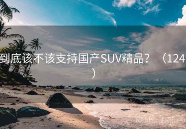 到底该不该支持国产SUV精品？（124 ）
