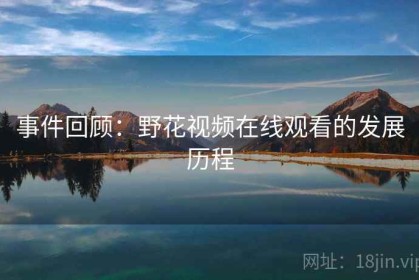 事件回顾：野花视频在线观看的发展历程