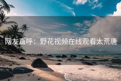 网友直呼：野花视频在线观看太荒唐