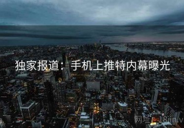 独家报道：手机上推特内幕曝光