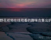 野花视频在线观看的趣味合集出炉