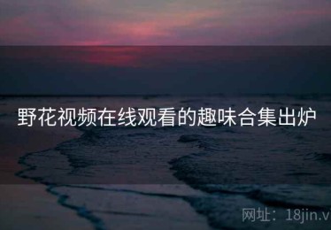 野花视频在线观看的趣味合集出炉