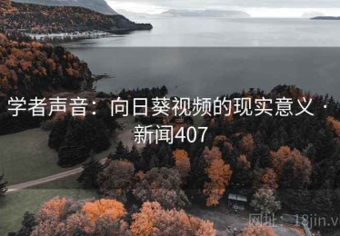 学者声音：向日葵视频的现实意义 · 新闻407