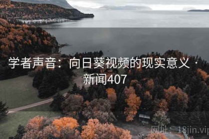 学者声音：向日葵视频的现实意义 · 新闻407