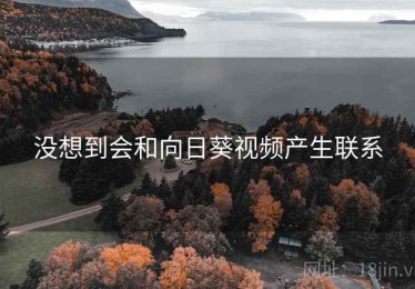 没想到会和向日葵视频产生联系