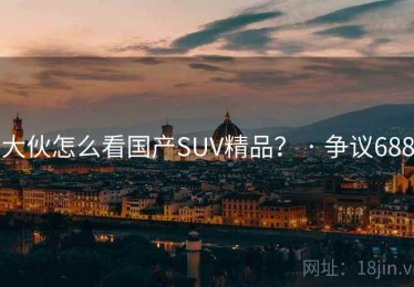 大伙怎么看国产SUV精品？ · 争议688