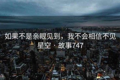 如果不是亲眼见到，我不会相信不见星空 · 故事747