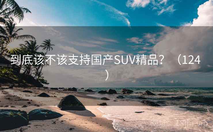 到底该不该支持国产SUV精品？（124 ）